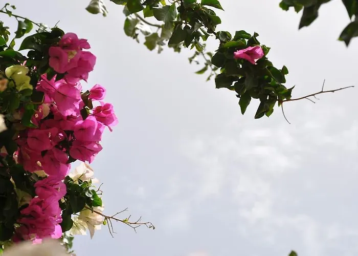 Hébergement de vacances Cyclades Naxos *