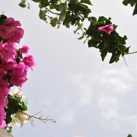 Semesterbostad Cyclades Naxos *